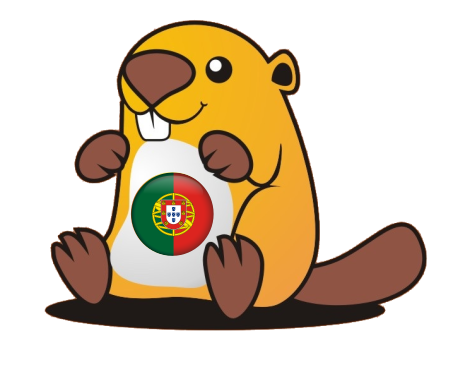 Alunos do 6º e 9º anos participam no  Desafio Bebras 2025!