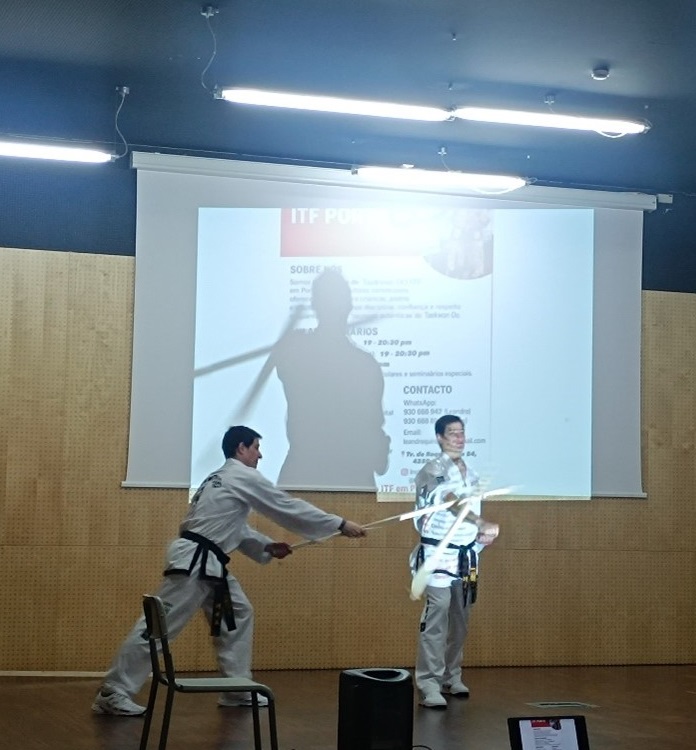WorkShop Taekwondo – Atividade equipa 5.3