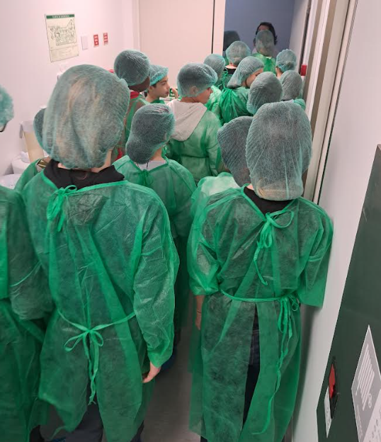 Cientistas e exploradores do 6º ano conquistam o Porto Cientistas e exploradores do 6º ano conquistam o Porto